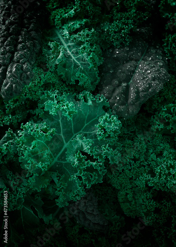 Food background, Fresh Kale leaves, close-up, vertical , no people, toned, selective focus,