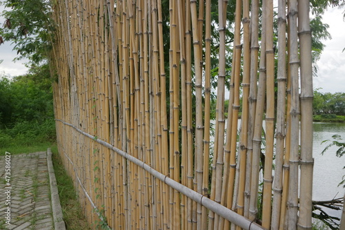 fence made of parallel bamboo arrangement