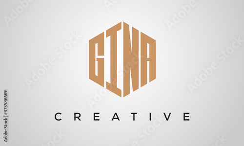 letters GINA creative polygon hexagon logo victor template photo