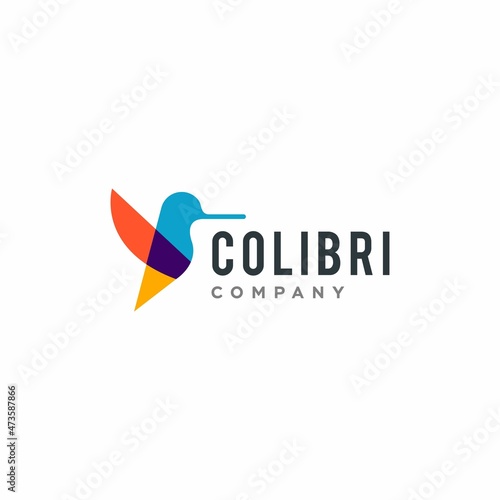 hummingbird colibri bird colorful logo icon geometric abstract shape vector illustration