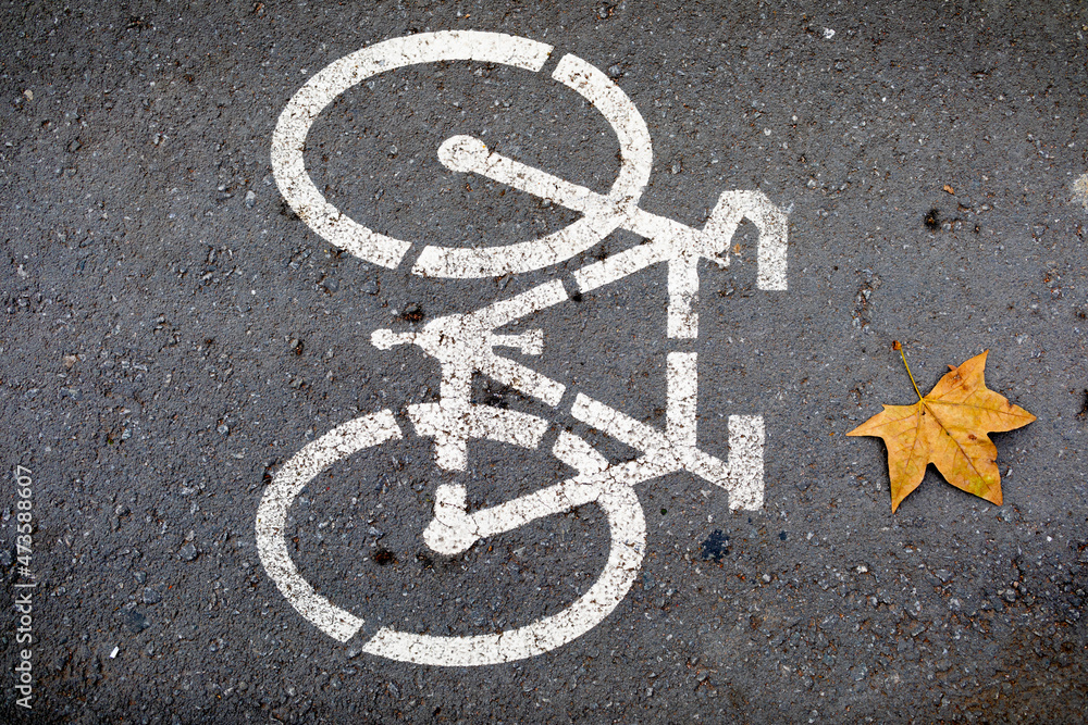 Pictograma de una bicicleta (carril bici) en una calle asfaltada con una hoja de plátano de sombra (Platanus × hispanica). Escena de otoño.