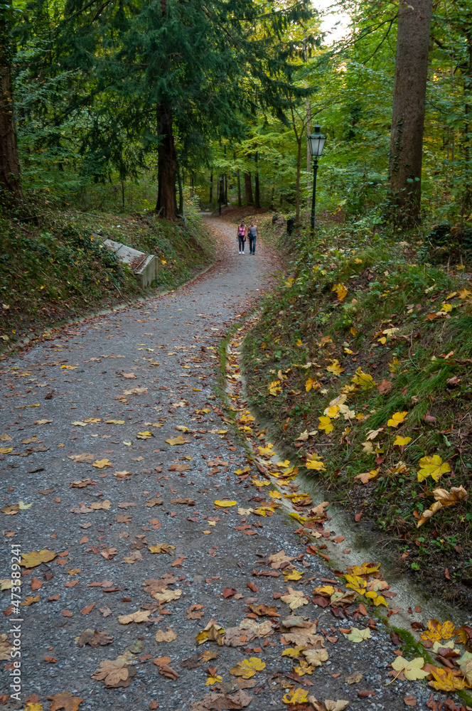 Mountain trail near Zurich, Switzerland on October 20, 2012. Trees and path.