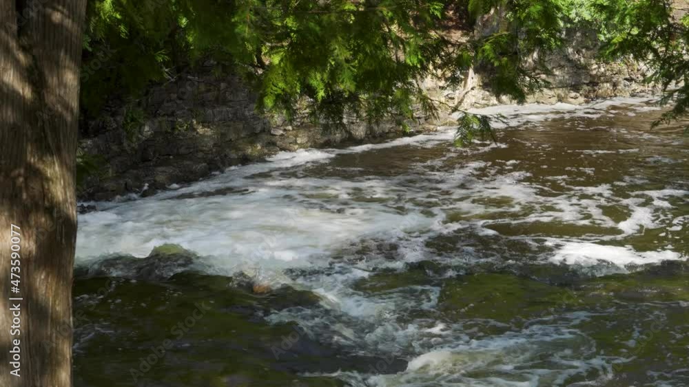 River water flowing, between forest treeline; Ocqueoc Falls River over rocks in Northwest Michigan in late summer--late morning. 425 River water flowing, between forest treeline; Ocqueoc Falls River over rocks in Northwest Michigan in late summer--late morning. 425