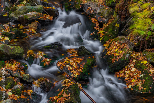 Sumny creek in autumn morning in Jeseniky mountains