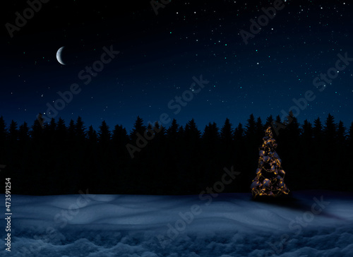 Beleuchteter Weihnachtsbaum in schneebedckter Landschaft bei Nacht