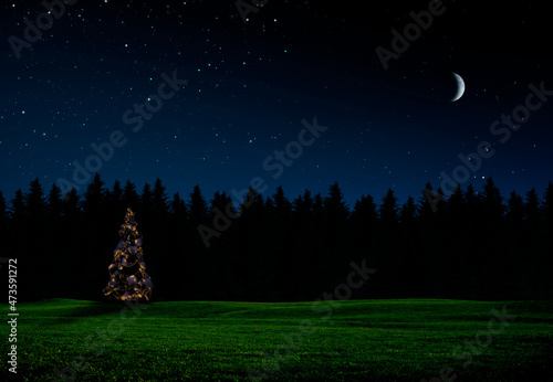 Beleuchteter Weihnachtsbaum in grüner Landschaft bei Nacht