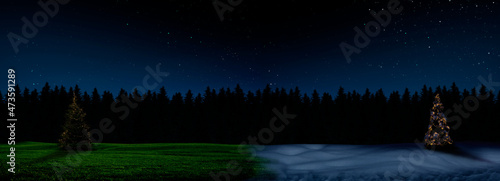 Beleuchteter Weihnachtsbaum in grüner und in schneebedeckter Landschaft bei N...