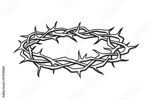 black crown of thorns image isolated on white background