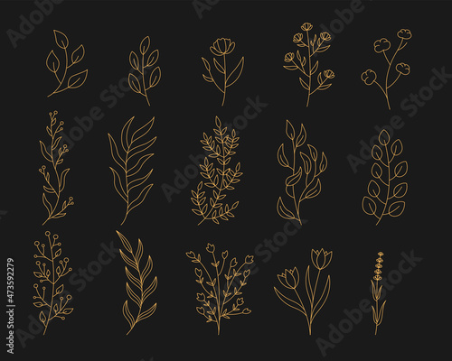 Set different golden outline twigs on a black background.