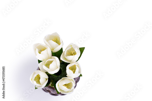Tulip flowers look white on top of a white background in a vase