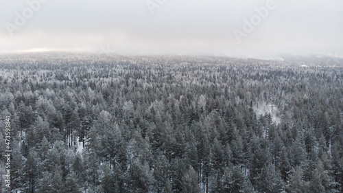 Natural background. Winter nature with the landscape of a Russian forest covered with snow from the height of a drone flight.