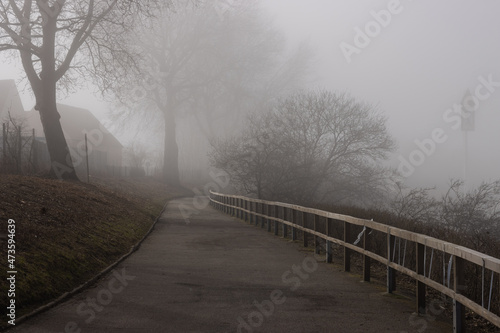 Nebel am Ostsee Küstenwanderweg