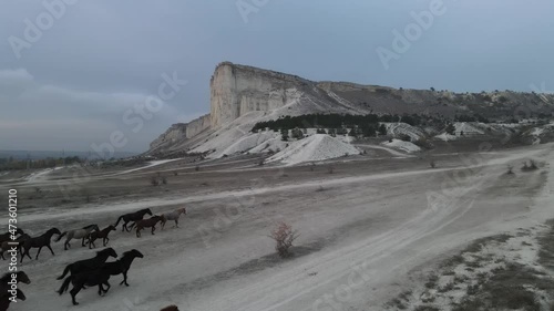 white rock mountains with horses running