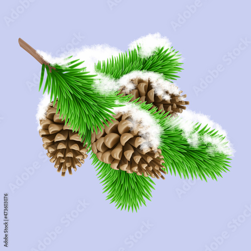 Frozen Green Pine Branche in the Snow with Three Pine Cones. Design Element for Christmas Cards on Violet Background