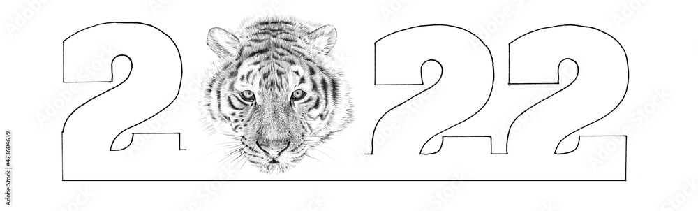 Fototapeta premium Hand drawn tiger and text 2022, sketch graphics monochrome illustration on white background