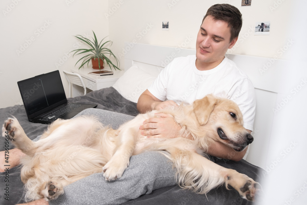 A man plays with a dog during a break from work at a laptop. A freelancer petting his dog in the bedroom on the bed and looking at the computer. A man plays with a dog during a break from work at a laptop. A freelancer petting his dog in the bedroom on the bed and looking at the computer.