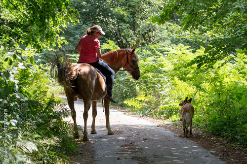 Reiterin mit Ihrem Pferd im Wald © Bittner KAUFBILD.de