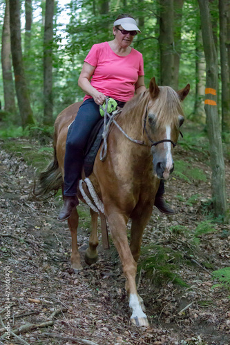 Reiterin mit Ihrem Pferd im Wald © Bittner KAUFBILD.de