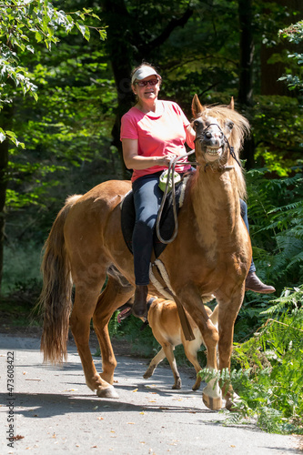 Reiterin mit Ihrem LACHENDEN Pferd © Bittner KAUFBILD.de