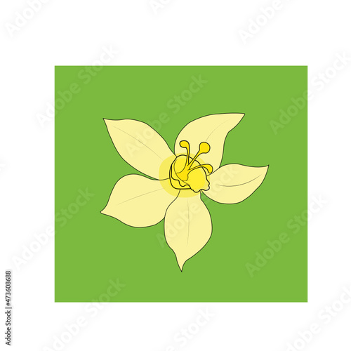 flor de vainilla dibujo con color