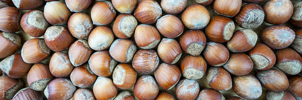 Hazelnuts with nutshell in heap on wooden backdrop overhead view Hazelnuts with nutshell in heap on wooden backdrop overhead view