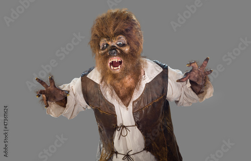 Portrait of a Werewolf Wolfman screaming and showing fangs. Man in Halloween costume on gray background
