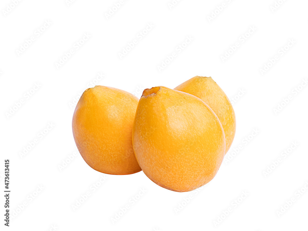 Three loquat fruit isolated on the white background. Three loquat fruit isolated on the white background.
