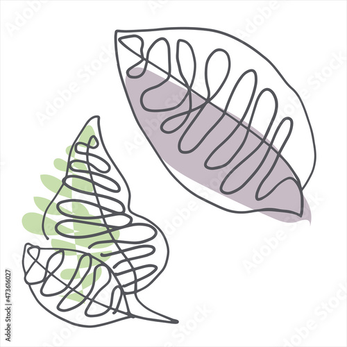 Leaves contour line vector illustration