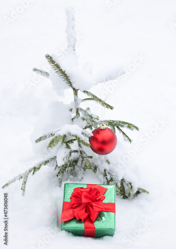 A gift box and a Christmas ball under a small Christmas tree covered with snow in nature.