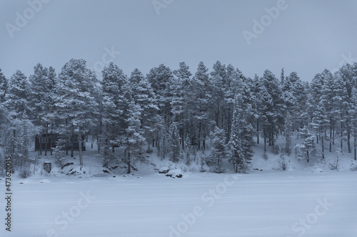 Dark moody Winter scene in Swedish Lapland photo