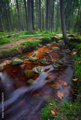 Forest river creek water flow. Beautiful autumn landscape with trees, stones and flowing water at cloudy weather