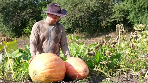 A young farmer rejoices at a large harvest of pumpkins. photo