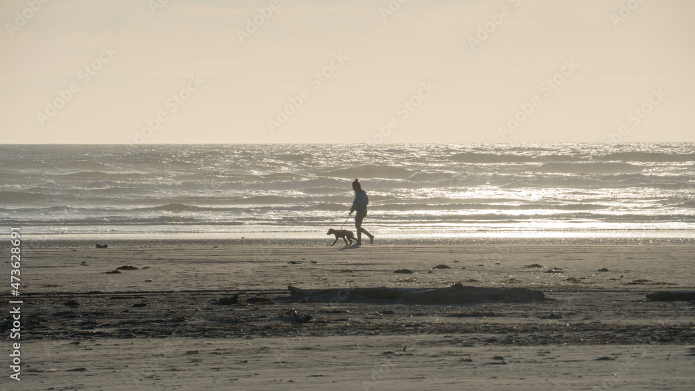 Dog Walking on Beach