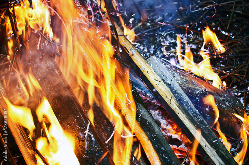 Firewood burning. Bonfire background. Fire texture. Orange flames campfire.
