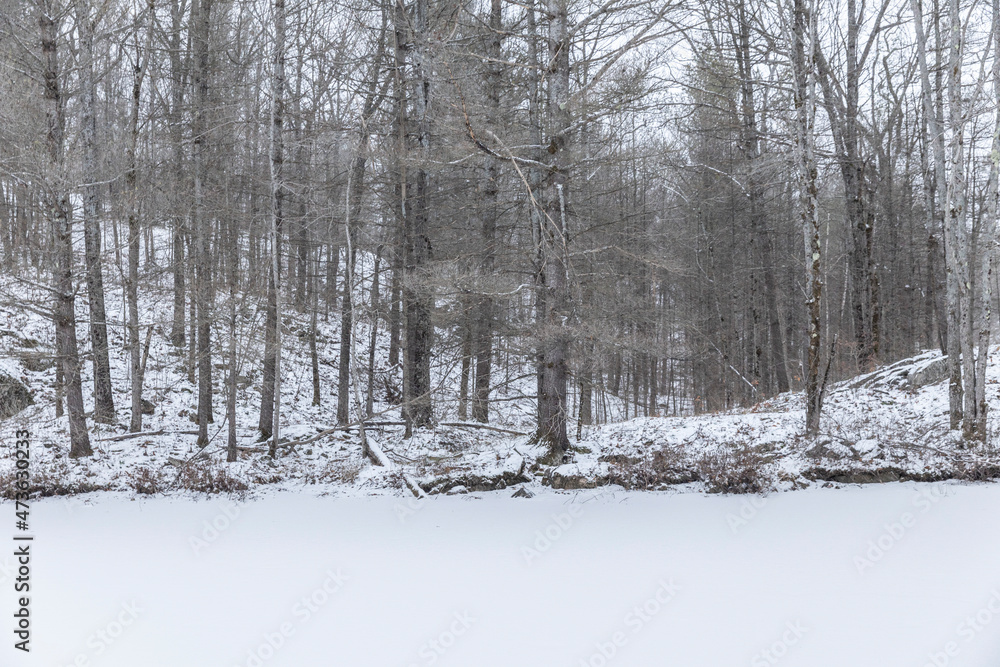 Early winter scenery in Canada, Ontario with thin layer of snow on the ground and half frozen lake.
frozen lake. Early winter scenery in Canada, Ontario with thin layer of snow on the ground and half frozen lake.
frozen lake.