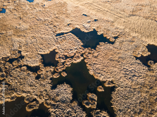 Aerial Autumn view of Dragoman marsh, Bulgaria photo