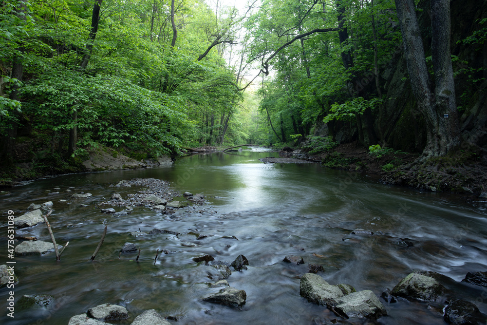 Czech protected area. Creek in the dark forest. Slow motion. Europea nature. Czech protected area. Creek in the dark forest. Slow motion. Europea nature.