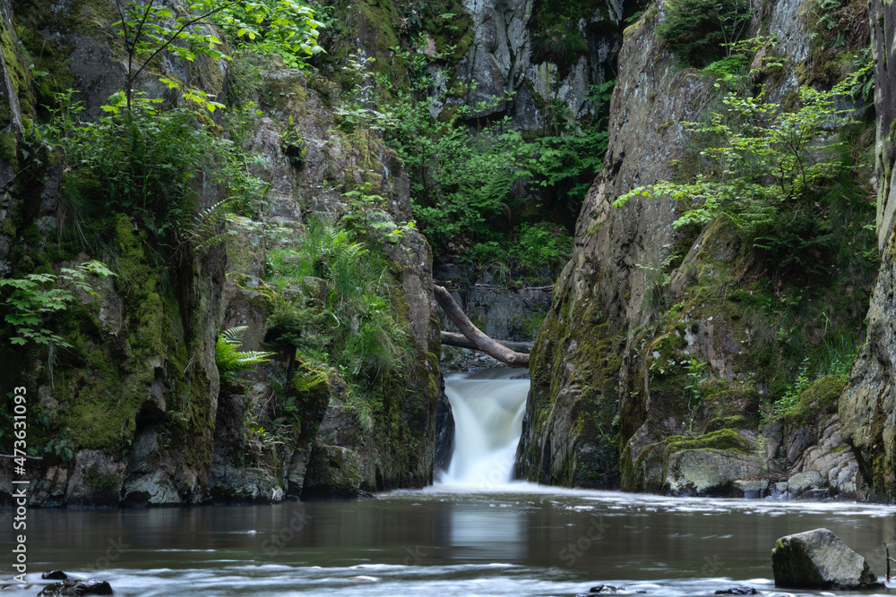 Czech protected area. Creek in the dark forest. Slow motion. Europea nature. 