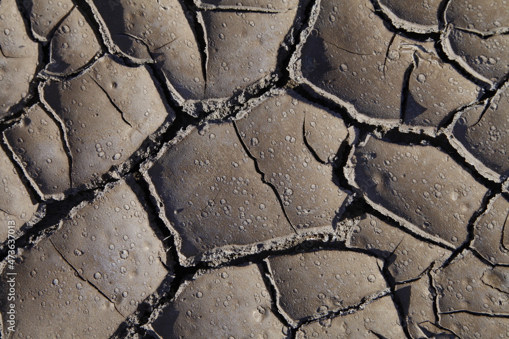 Obraz premium Climate warming dry chapped land