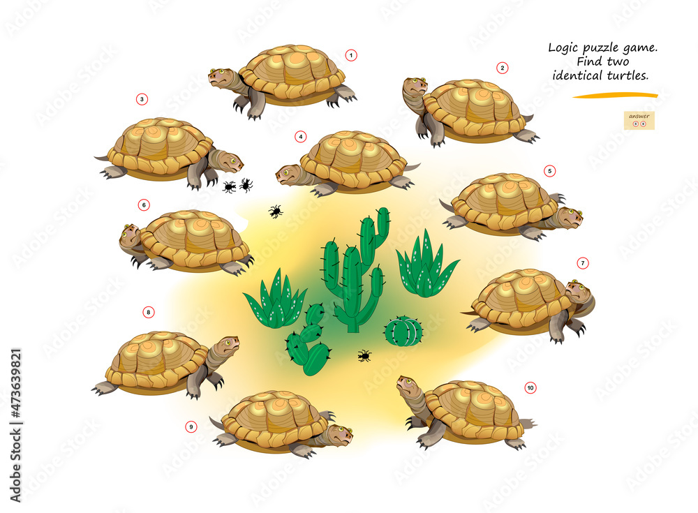 Logic puzzle game for children and adults. Find two identical turtles ...