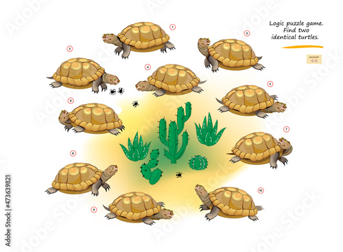 Logic puzzle game for children and adults. Find two identical turtles. Memory exercises for seniors. Page for kids brain teaser book. Developing spatial thinking. IQ test. Play online. Vector image.