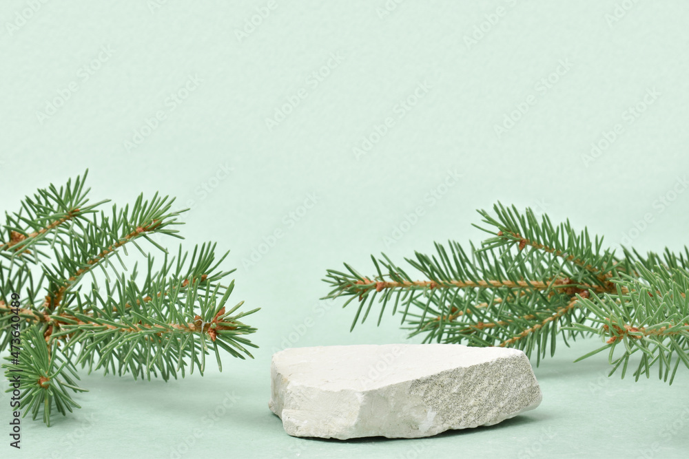 A minimalistic scene of a lying stone with a spruce branch on a light green background. A minimalistic scene of a lying stone with a spruce branch on a light green background.