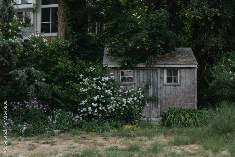 picturesque scenes from a new england summer picturesque scenes from a new england summer