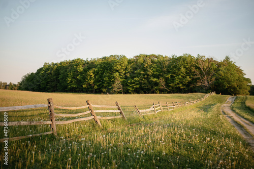 A country field at golden hour photo