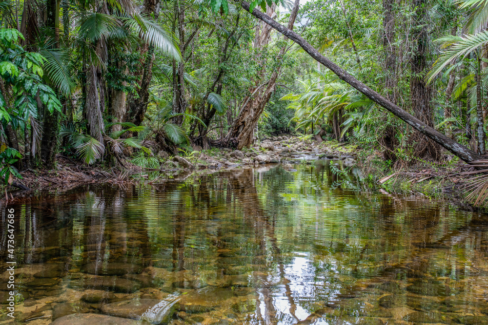 Beautiful creek at Finch Hutton Gorge, Mackay, Queensland, Australia