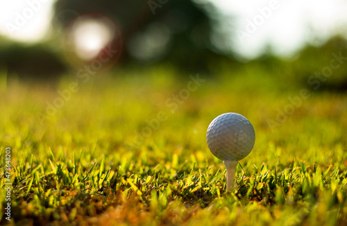Golf ball with green grass close-upwide landscape as background Ready for athletes to start playing.