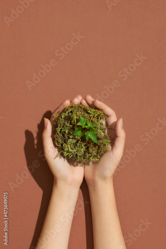  hand holding soil with seedling photo