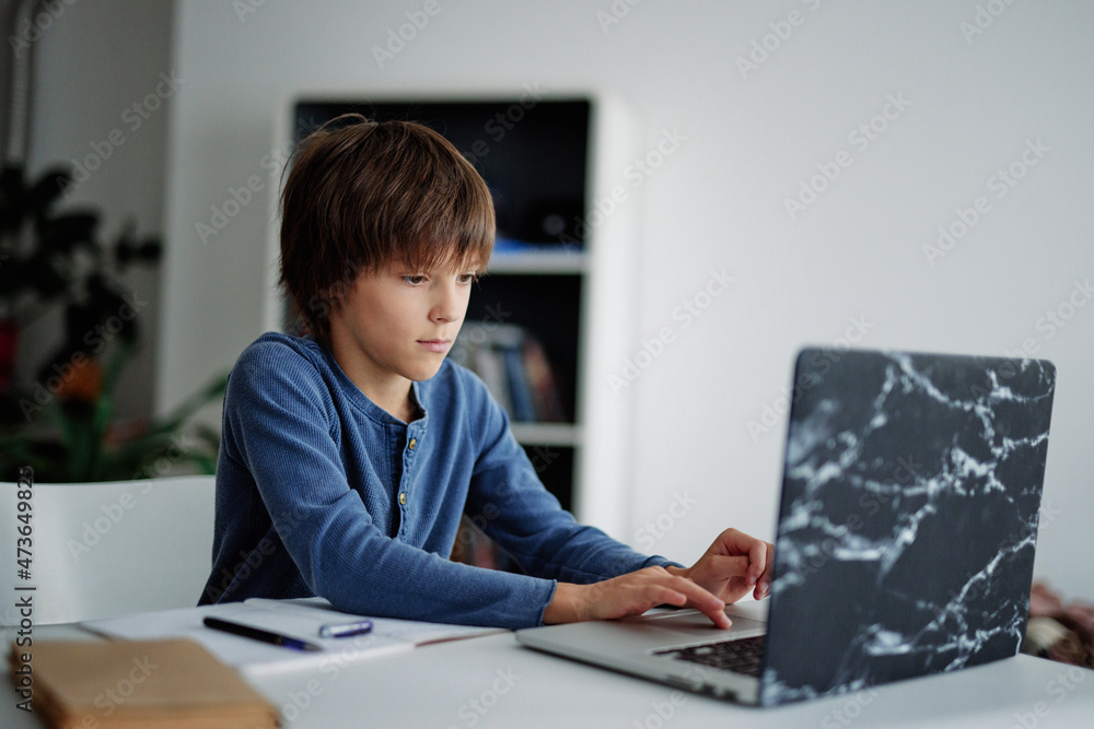 Male teen learning online at home Male teen learning online at home