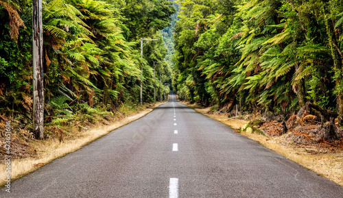Long straight road through an avenue of trees vanishing into the distance  driving towards Lake Okataina Reserve photo