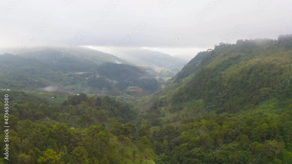 Aerial top view of lush green trees from above in tropical forest in national park and mountain or hill in summer season in Thailand. Natural landscape. Pattern texture background. Aerial top view of lush green trees from above in tropical forest in national park and mountain or hill in summer season in Thailand. Natural landscape. Pattern texture background.